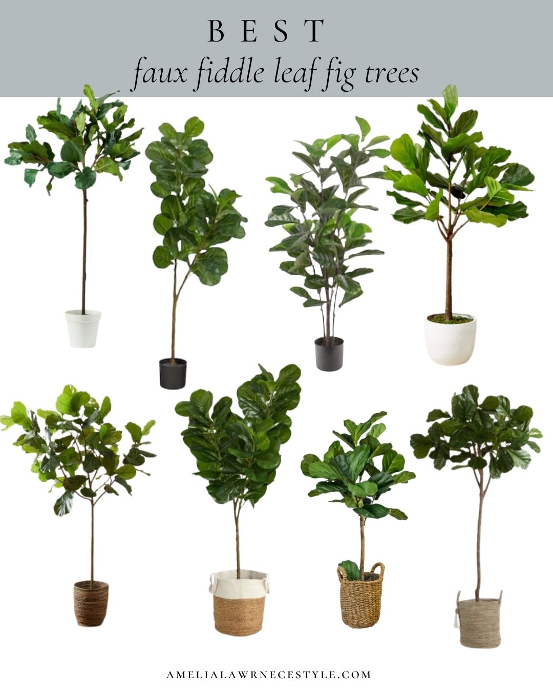curation of faux fiddle leaf fig trees