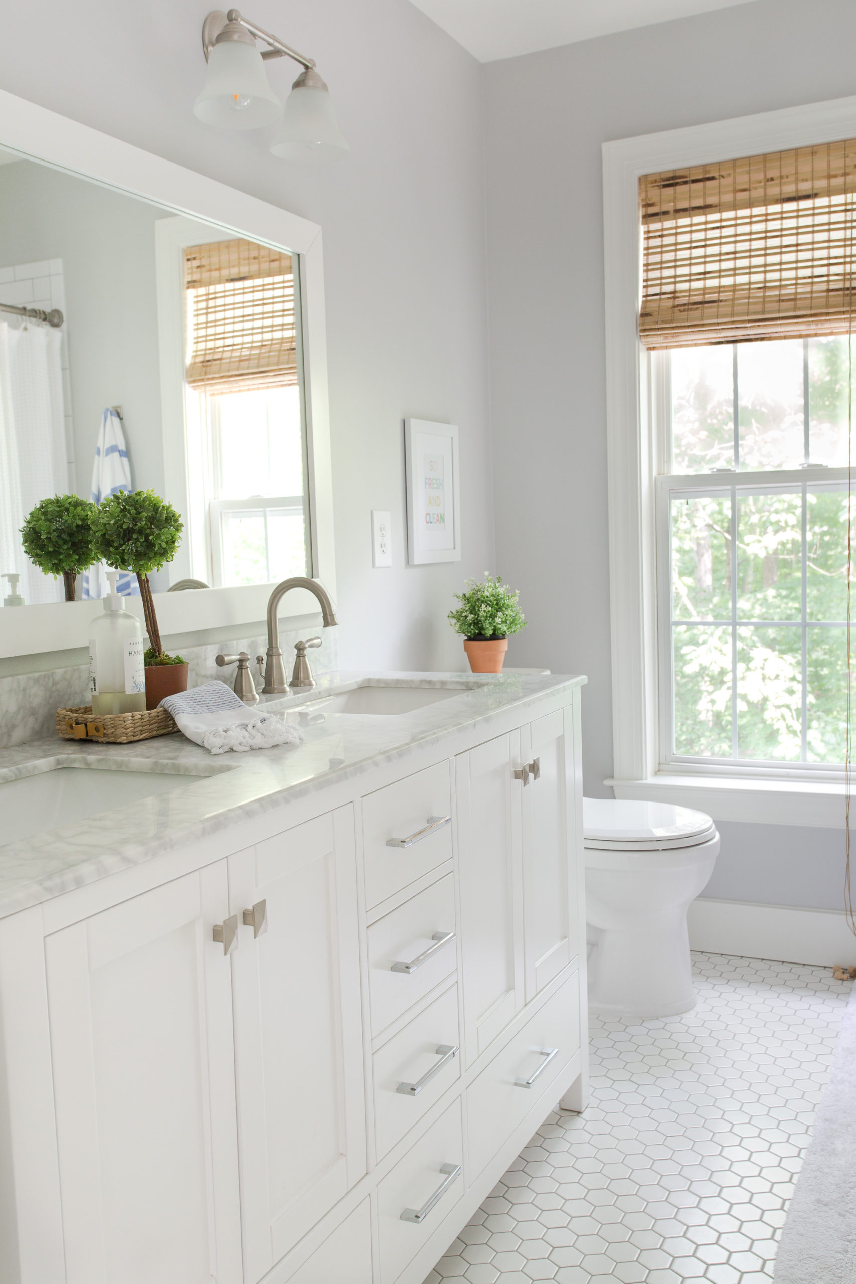White bathroom with gray walls with a green potted topiary on bathroom cabinet overlooking window