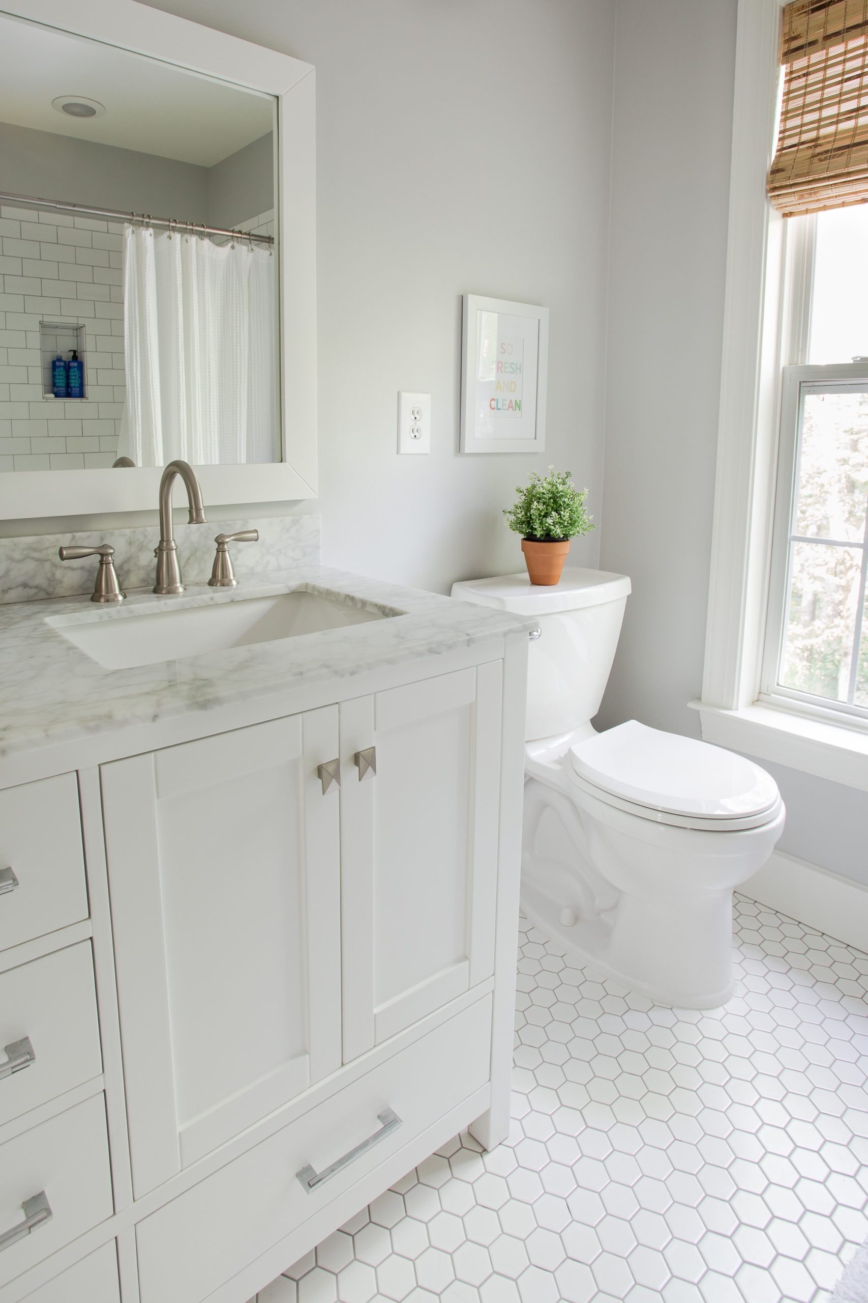 White bathroom with gray walls and white toilet with potted green plant on top of toilet