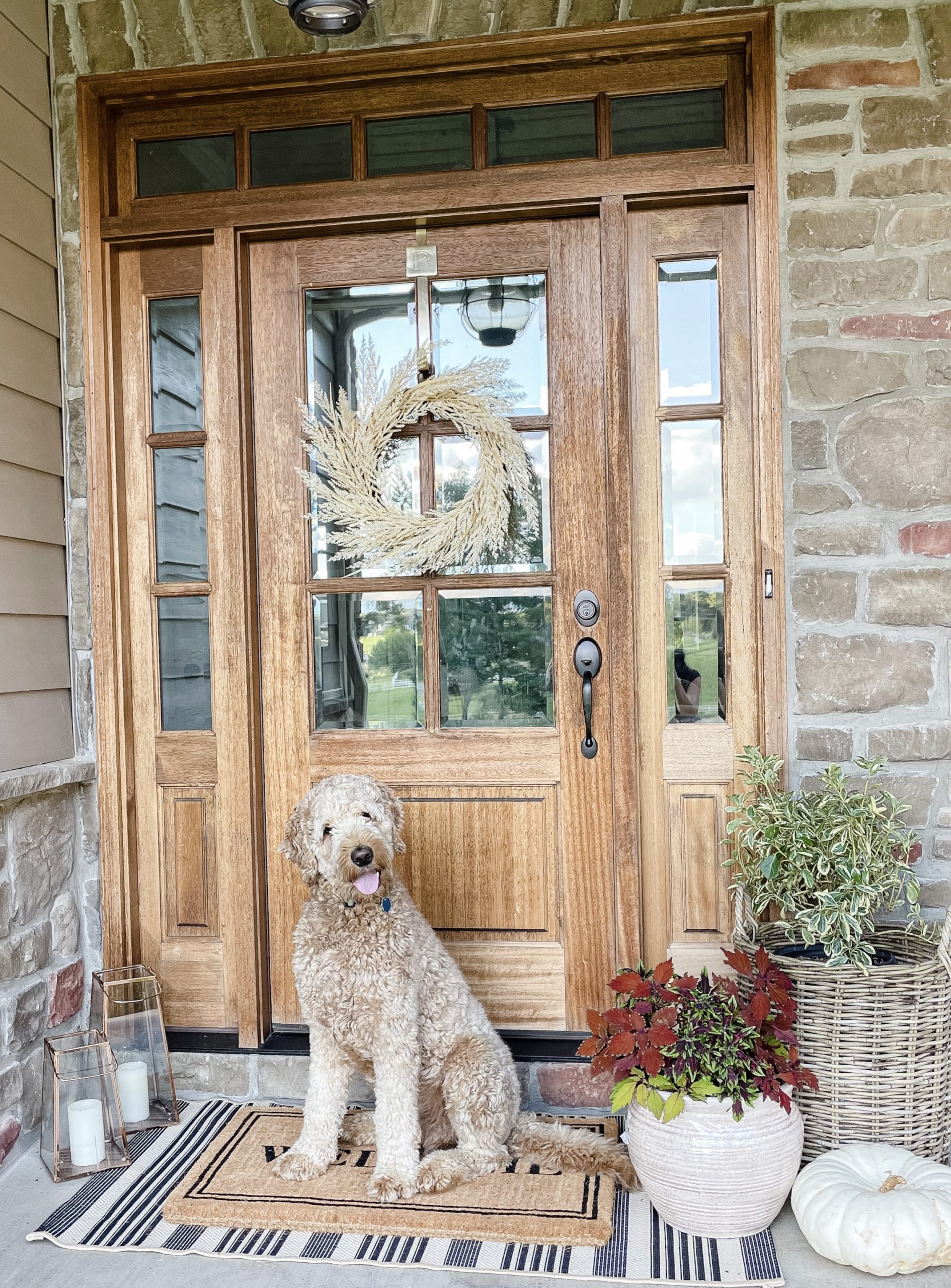 WOOD FROnt door with dog and fall plants and welcome mat