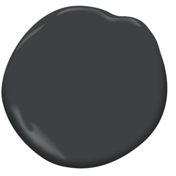 black panther paint swatch