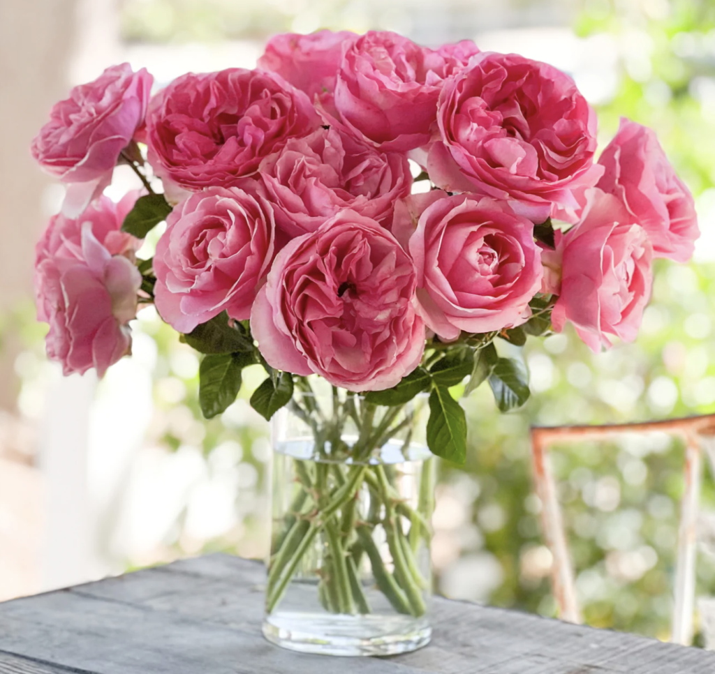dark pink rose bouquet