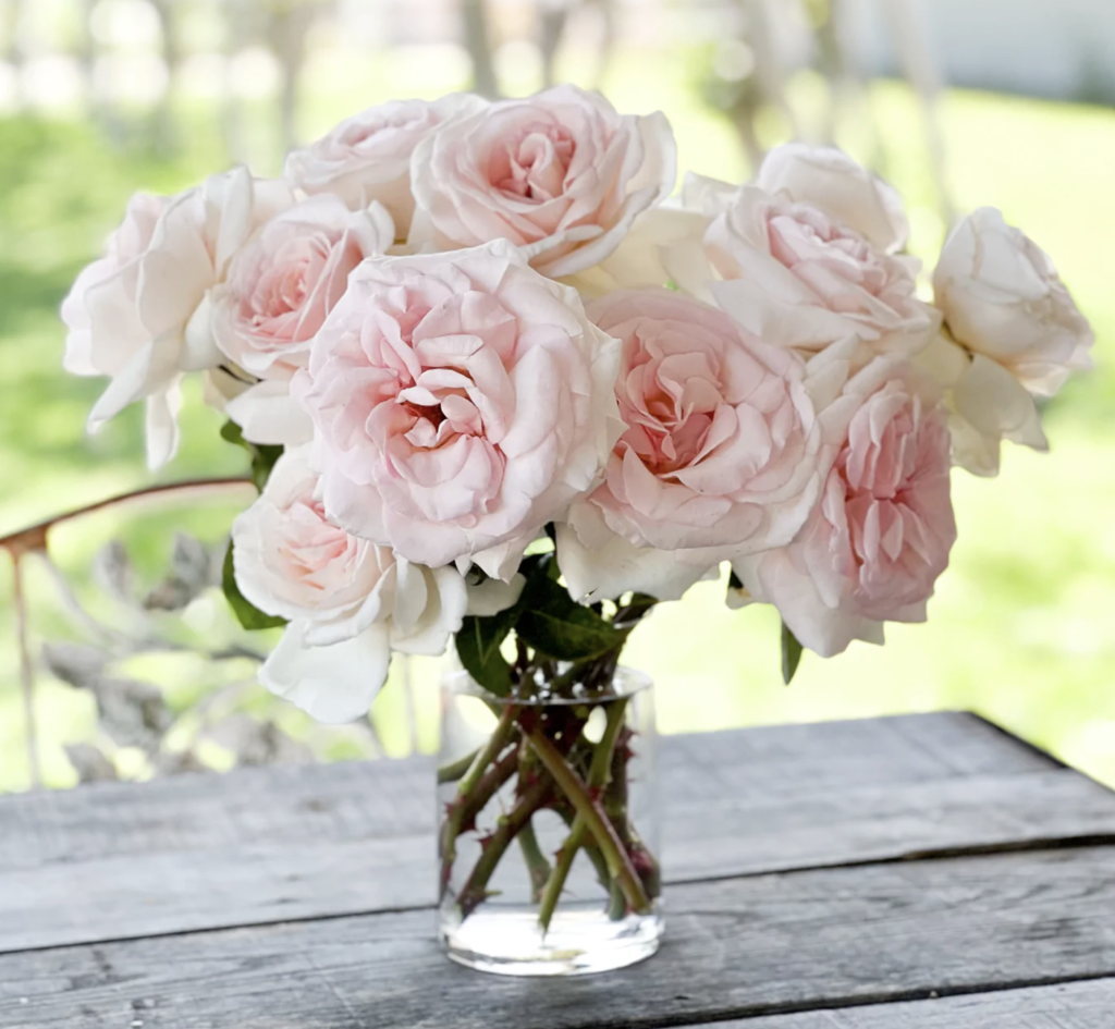 pink grace rose farms bouquet
