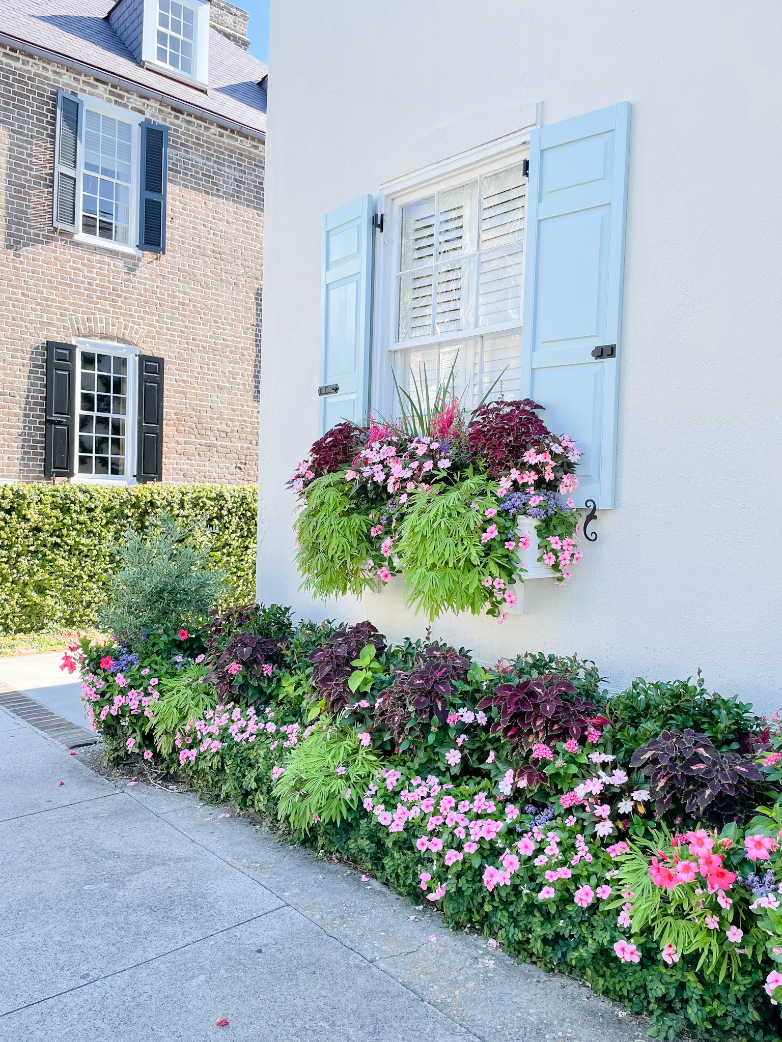flower window boxes on house in Charleston