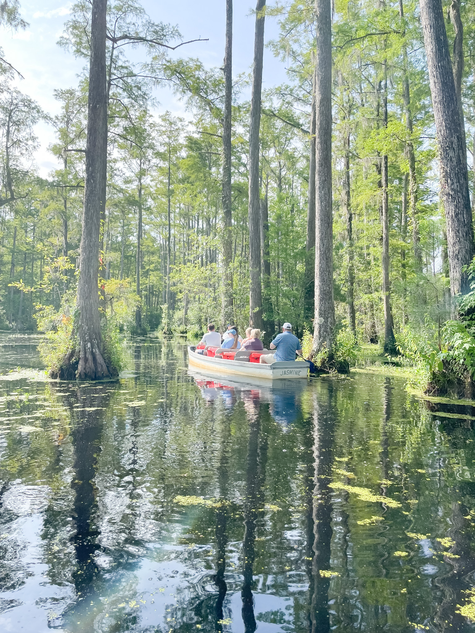 boat in water at Cypress Gardens