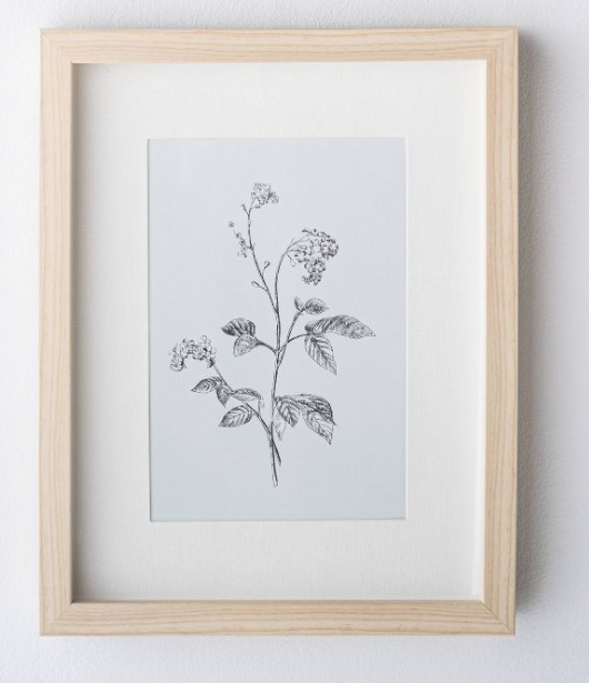 flower framed print
