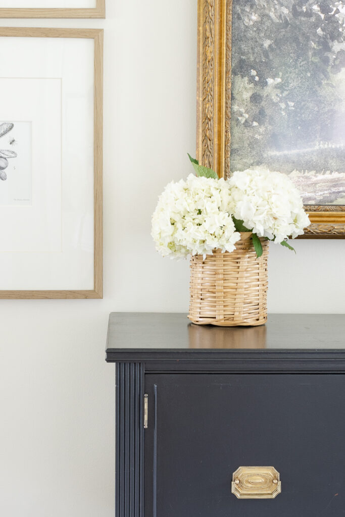 How to Revive Wilted Hydrangea Amelia Lawrence