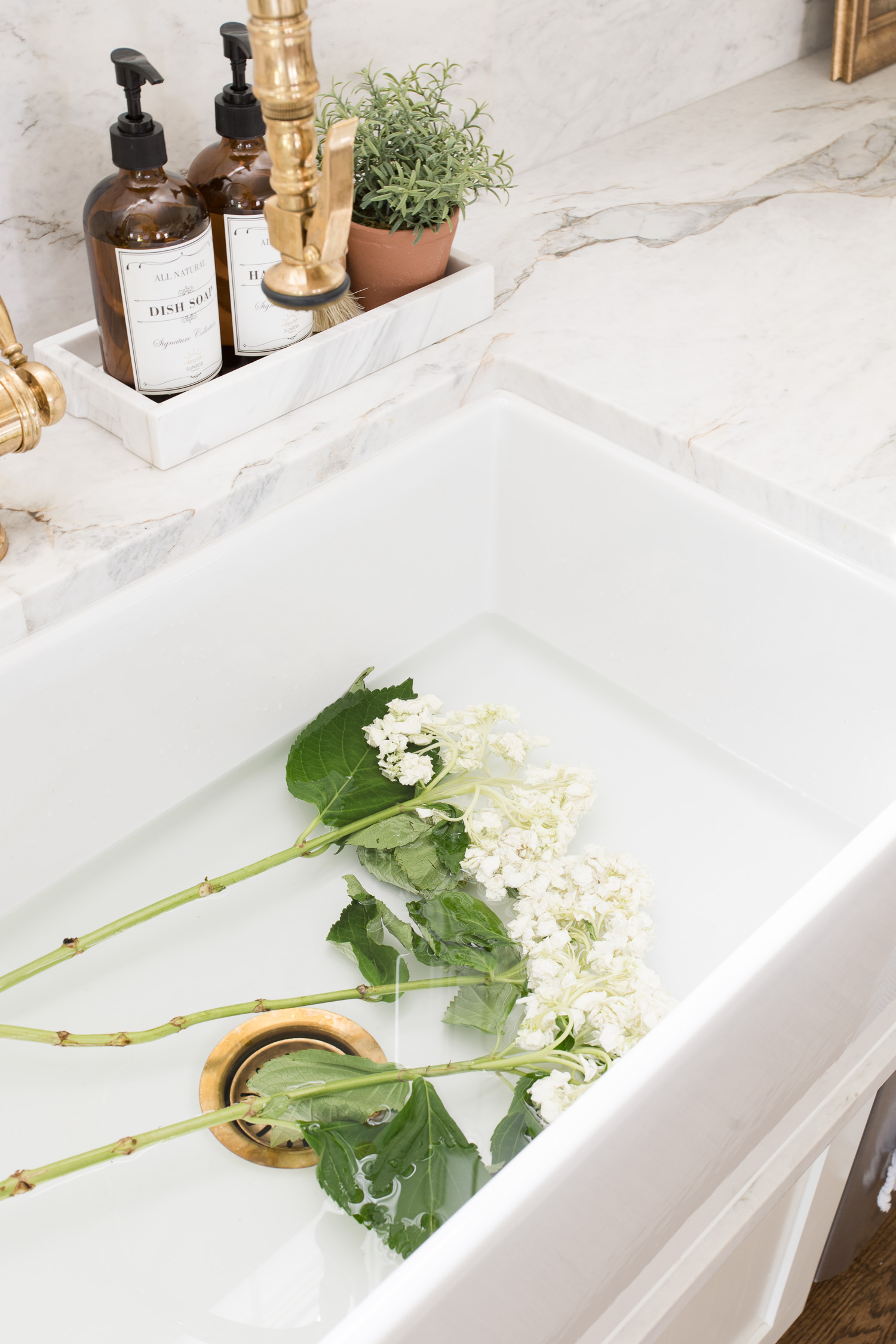 Wilted hydrangeas in sink of water