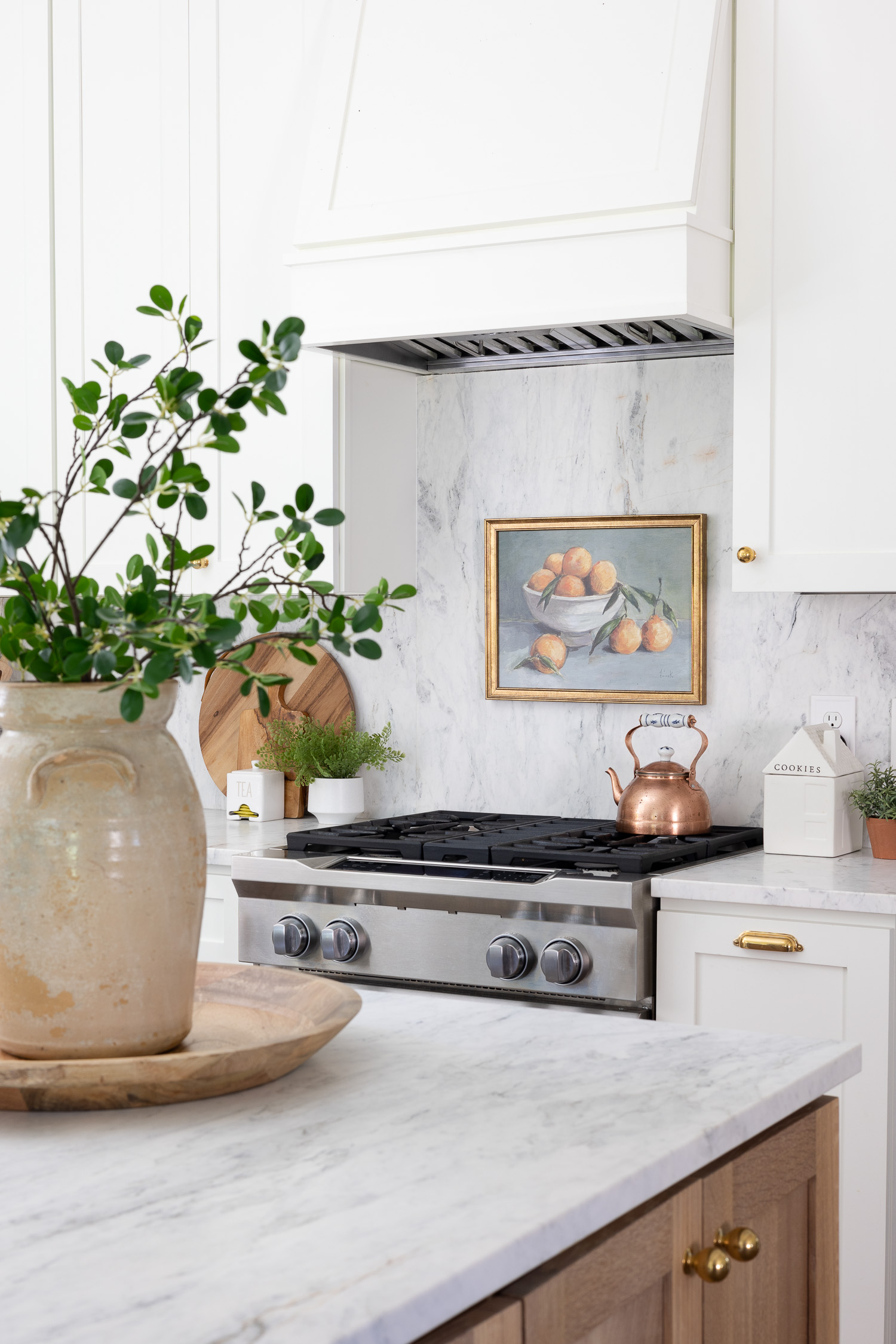 vase of greenery sitting on countertop and picture above the range