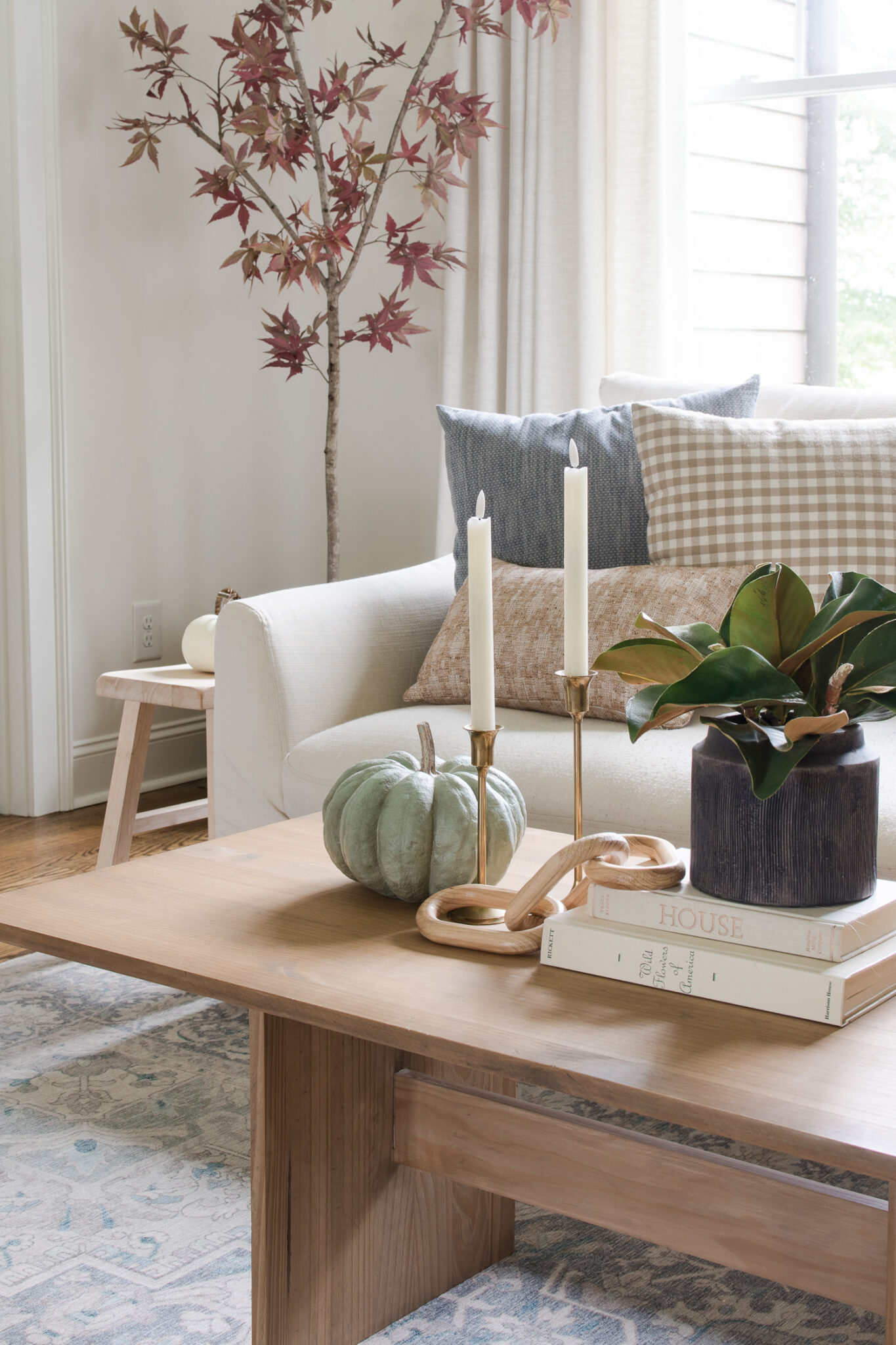 Simple Fall Decor - Amelia Lawrence Style