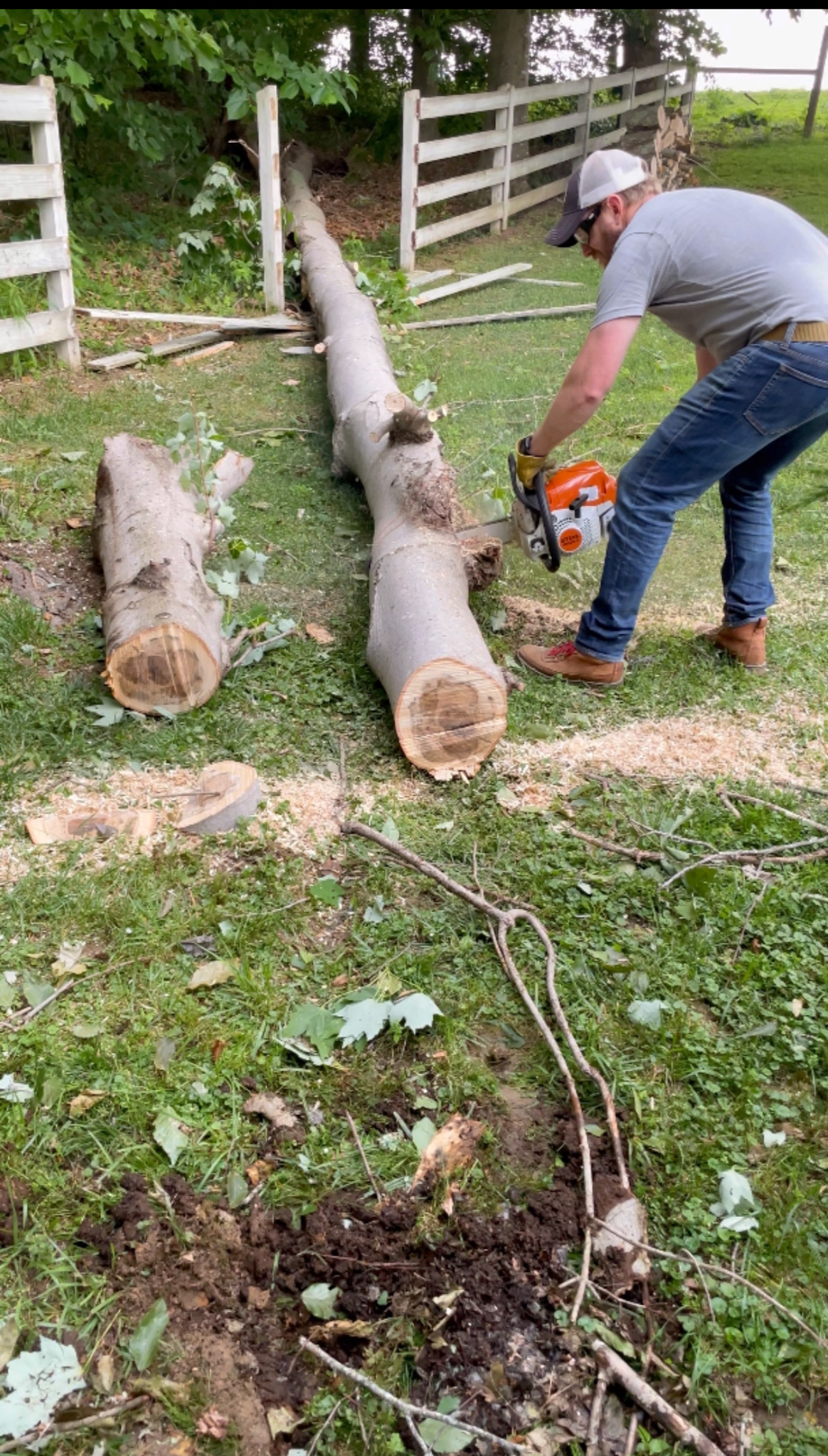 man cutting tree with chain saw