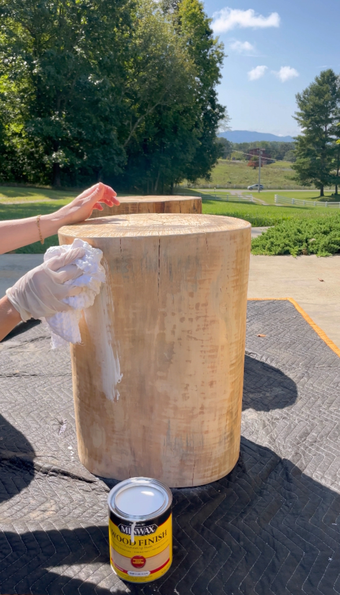 staining tree stump table