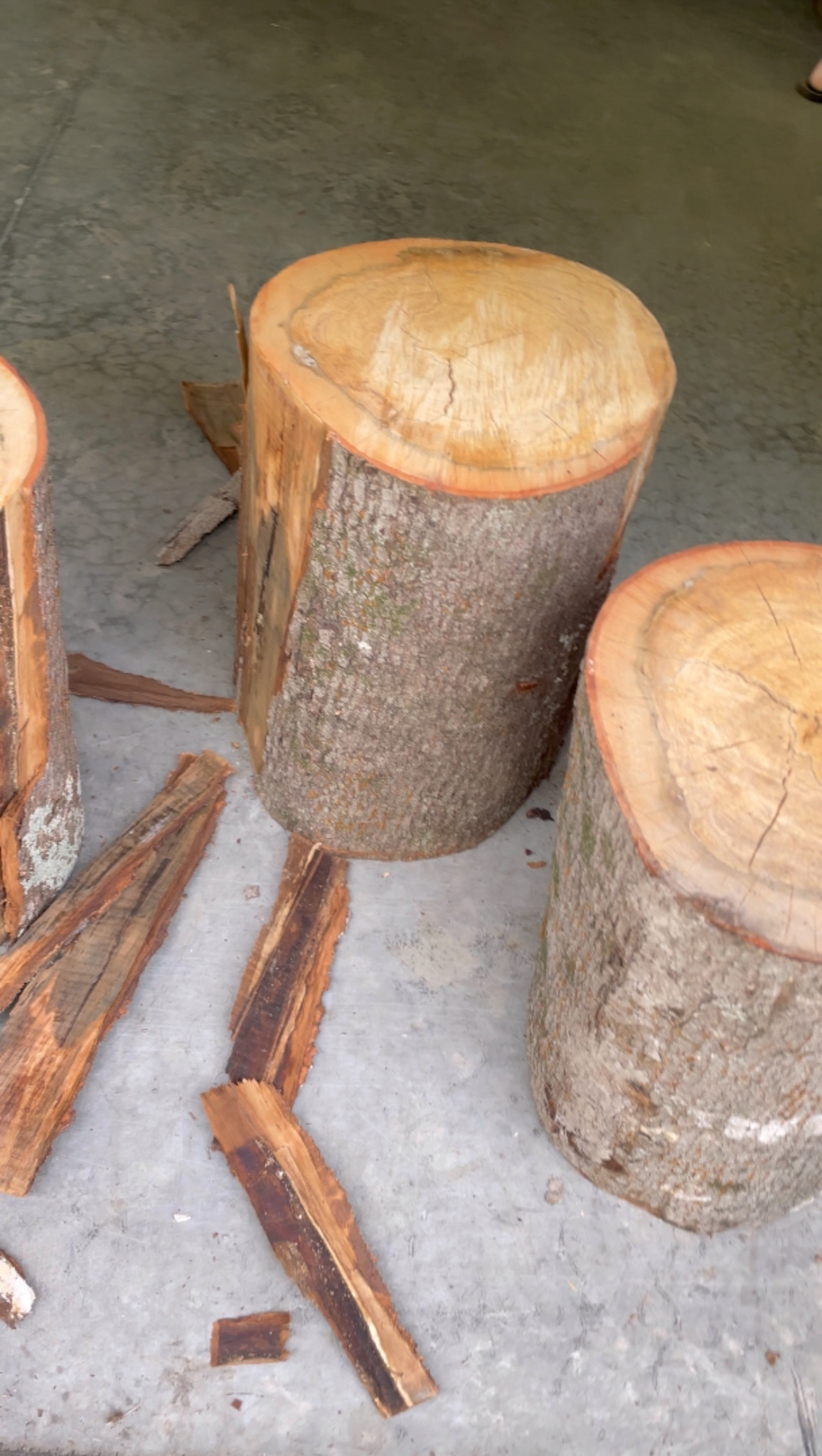 tree stump table