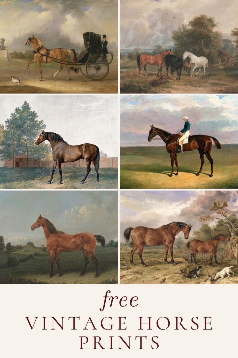Free Vintage Horse Prints | Amelia Lawrence Style