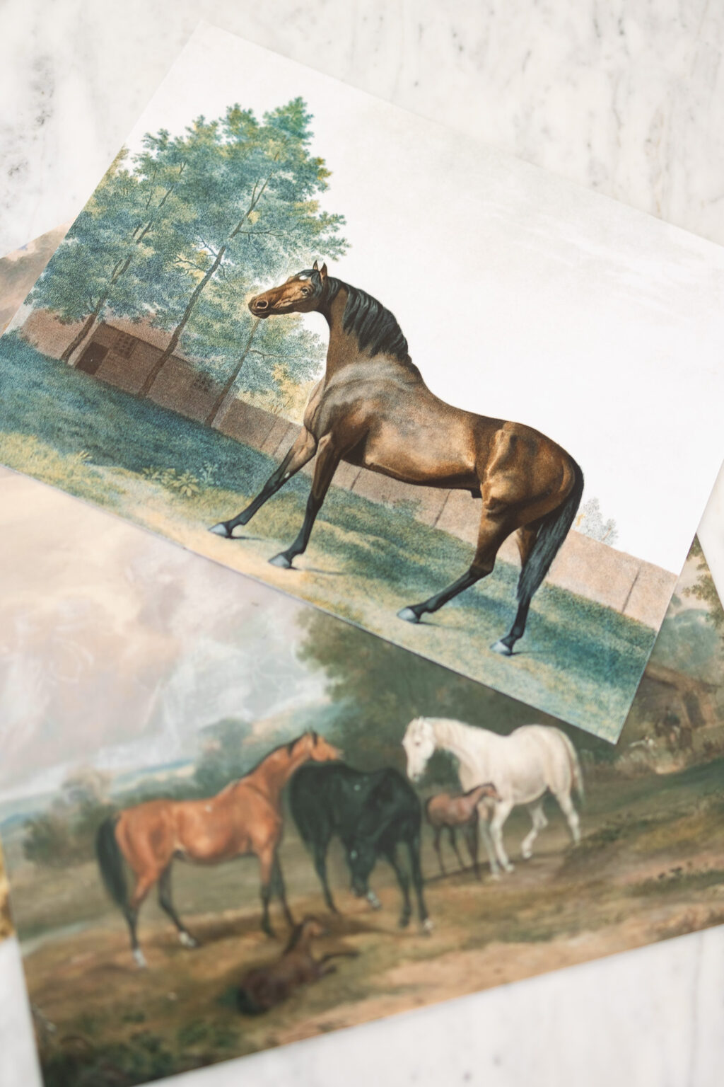 Free Vintage Horse Prints | Amelia Lawrence Style
