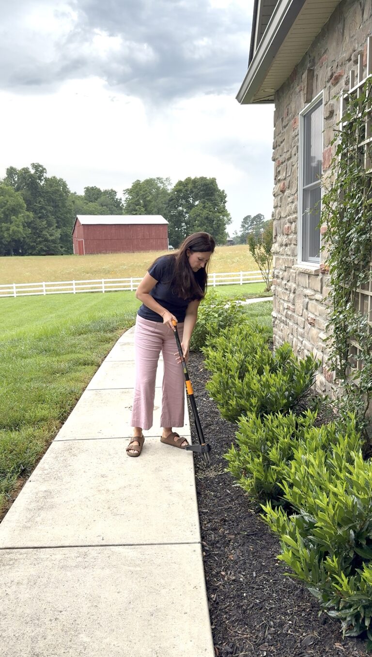 Best Yard and Garden Tools