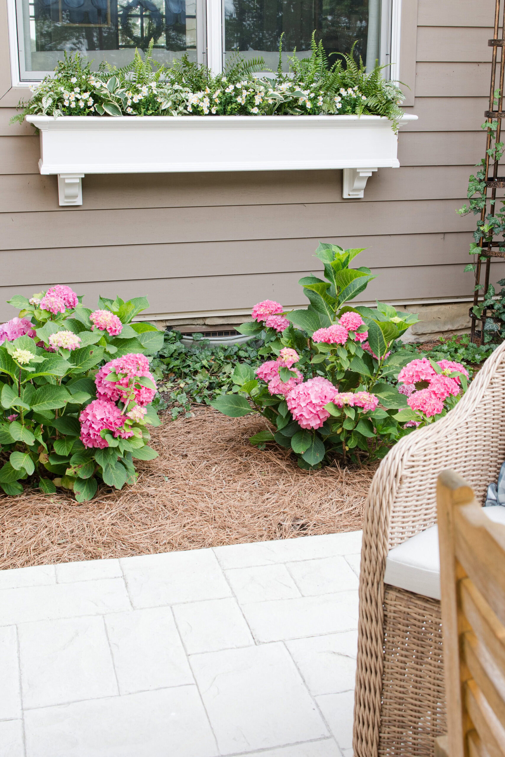 window box on back patio
