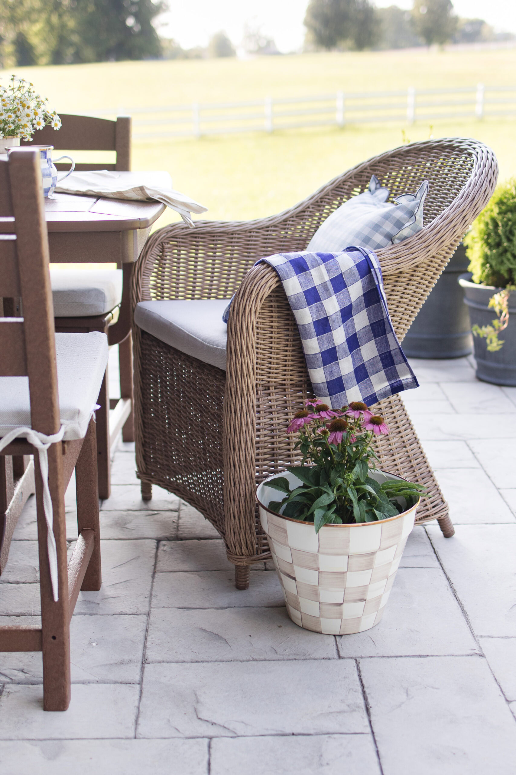 checkered planter on patio