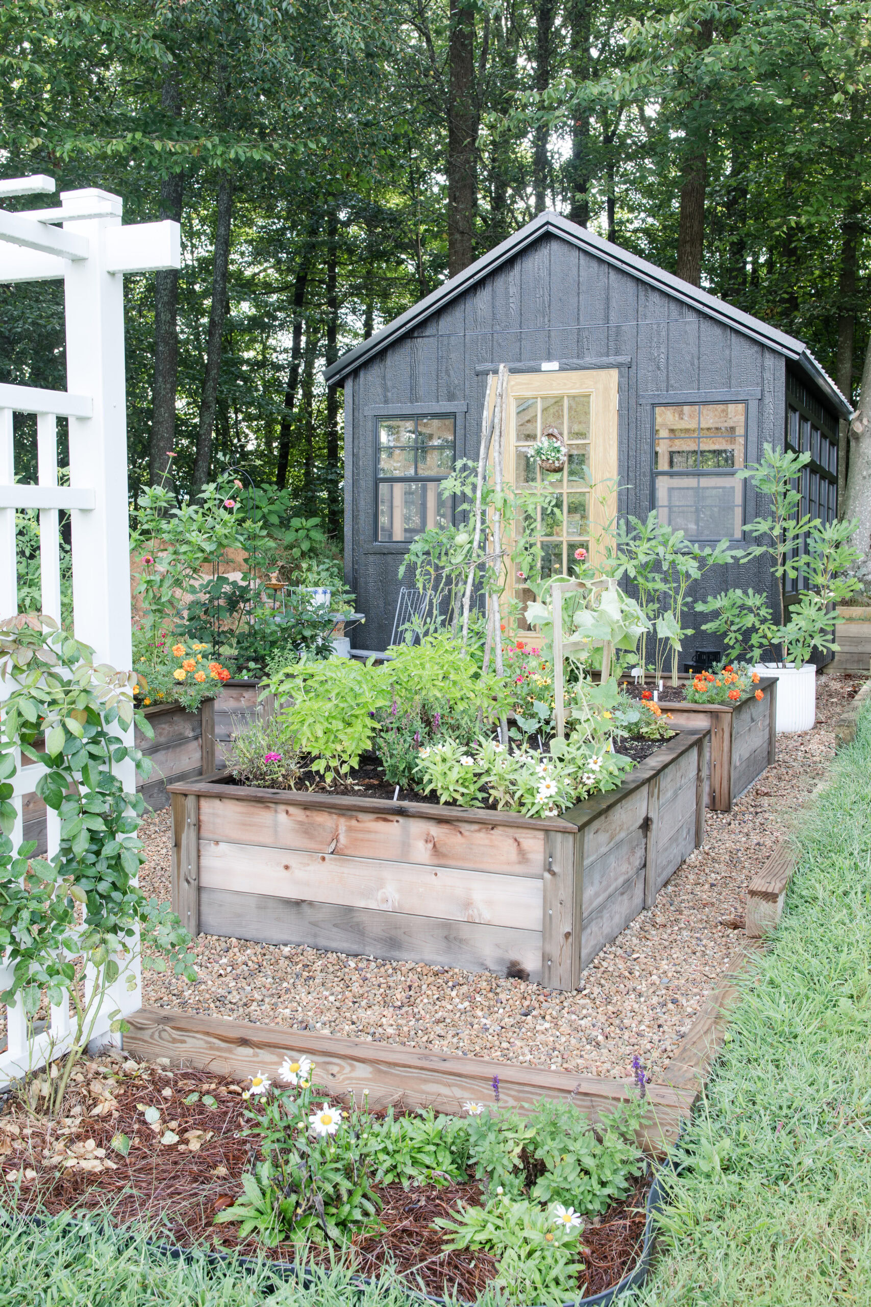 raised garden beds with greenhouse