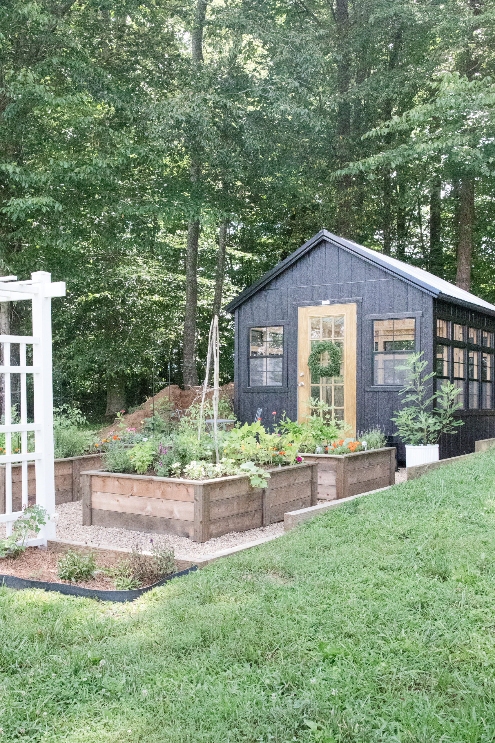 raised cedar beds in garden with greenhouse