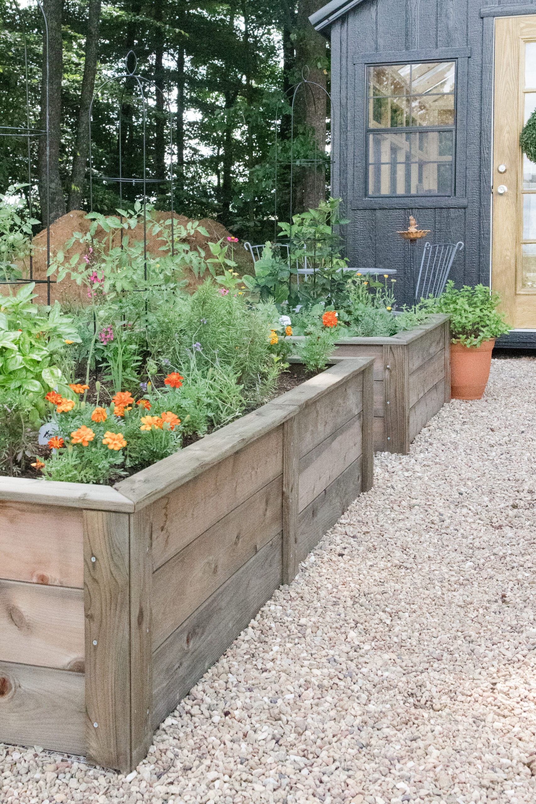 cedar raised beds in garden