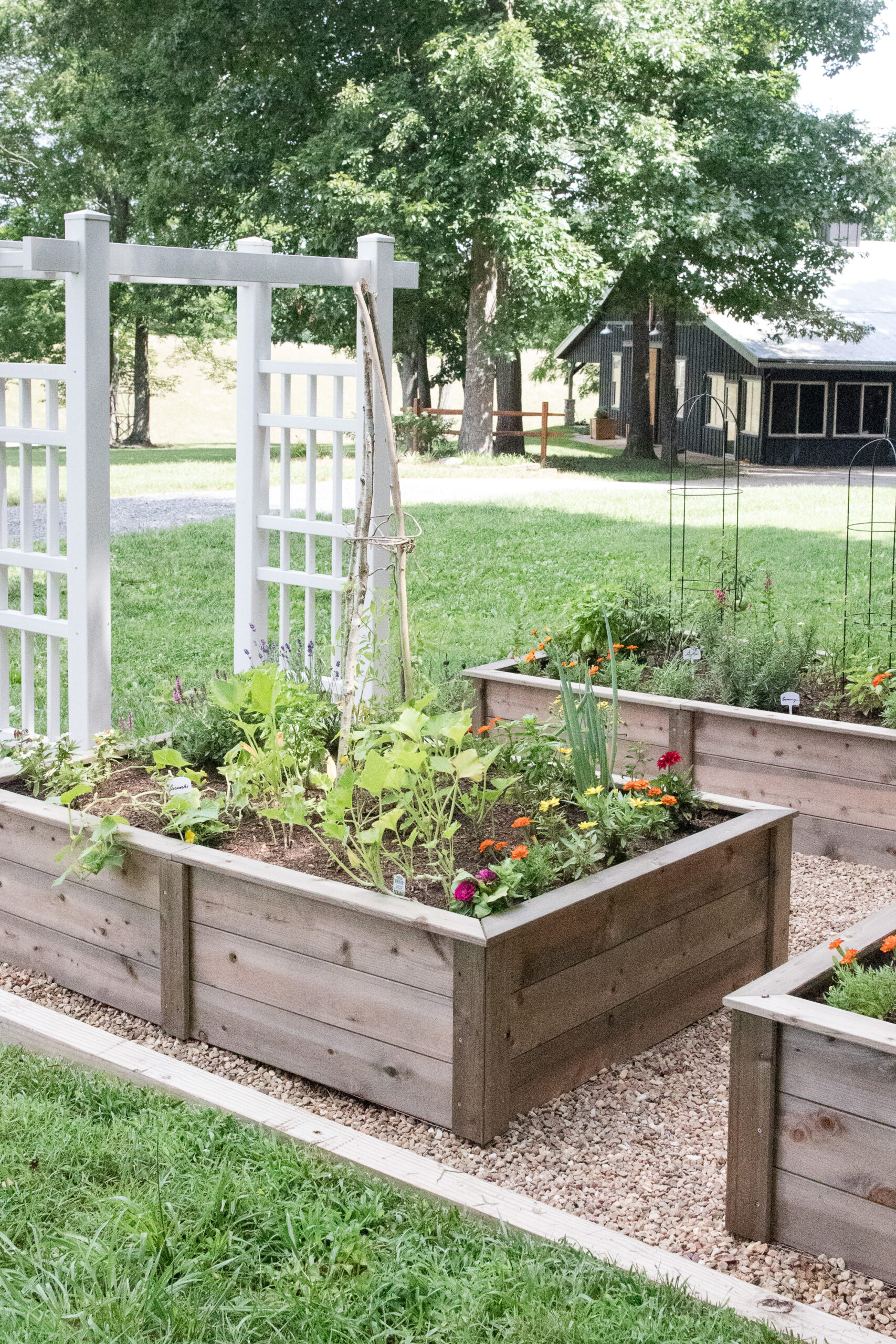 raised cedar beds in garden